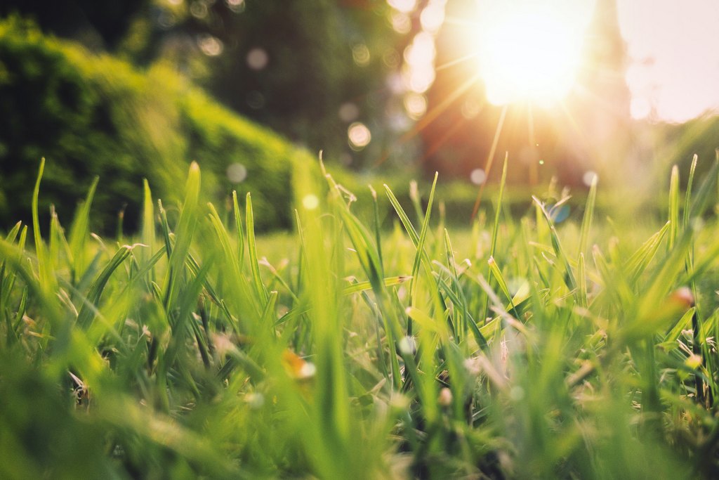 Aniket bhattacharya cgyrwbe6hm4 unsplash