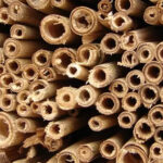 Domek pro včely a hmyz 2 3