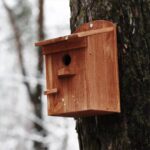 Dřevěná budka pro ptáky 2