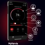 Dřevěná čtvercová sauna 2,2m 16