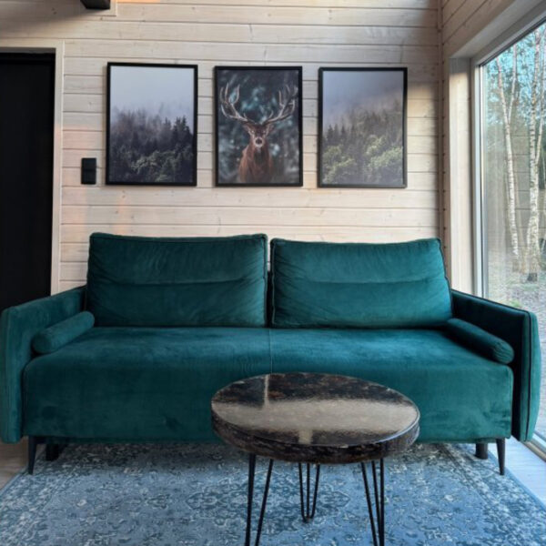 Dřevěný dům dřevostavba stodola 19