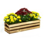 Dřevěný truhlík bedÝnka opalovaná