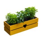 Dřevěný truhlík bylinkÁČ hořčice