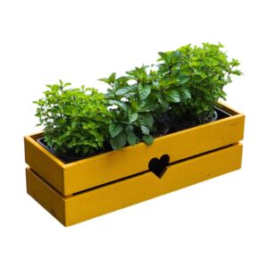 Dřevěný truhlík bylinkÁČ hořčice