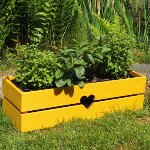 Dřevěný truhlík bylinkÁČ hořčice 6