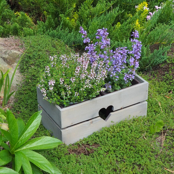 Dřevěný truhlík bylinkÁČ Šedý 6