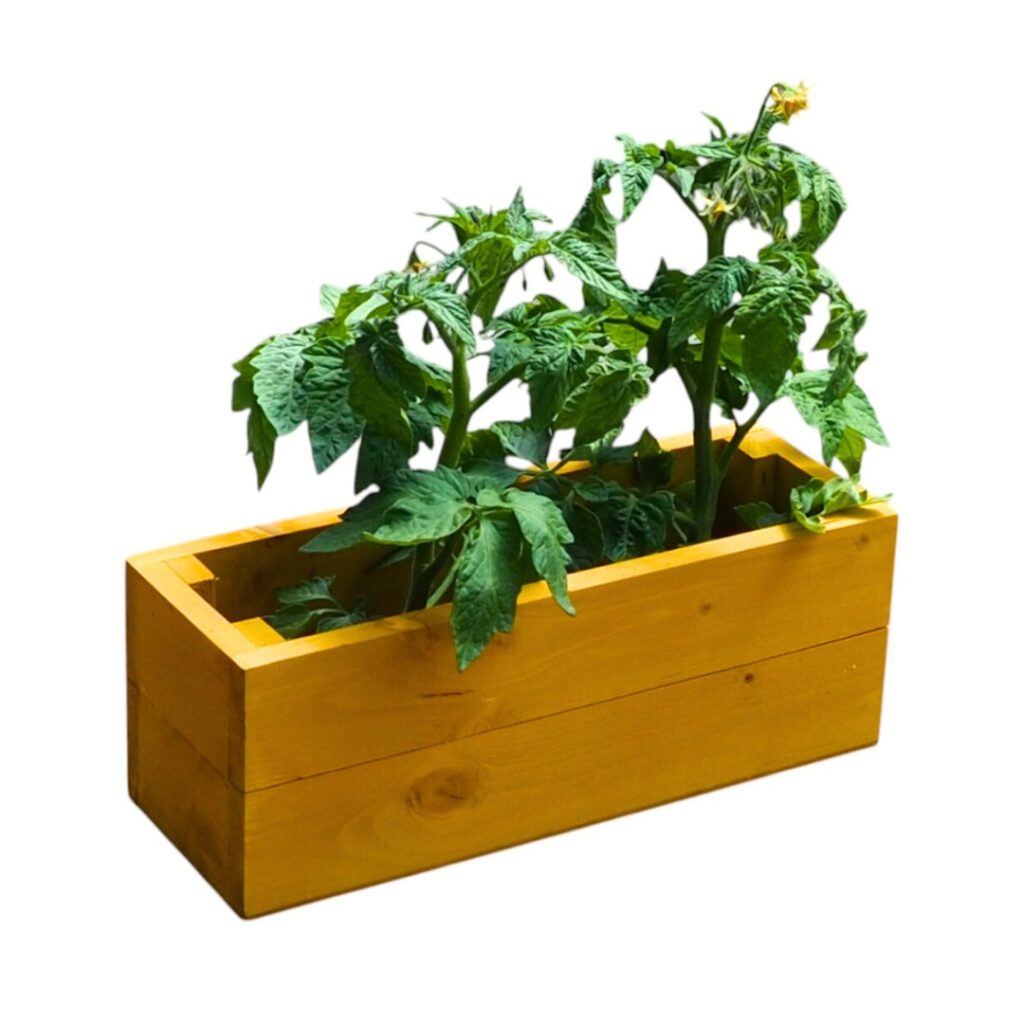 Dřevěný truhlík ohne hořčice