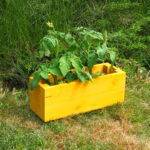 Dřevěný truhlík ohne hořčice 2