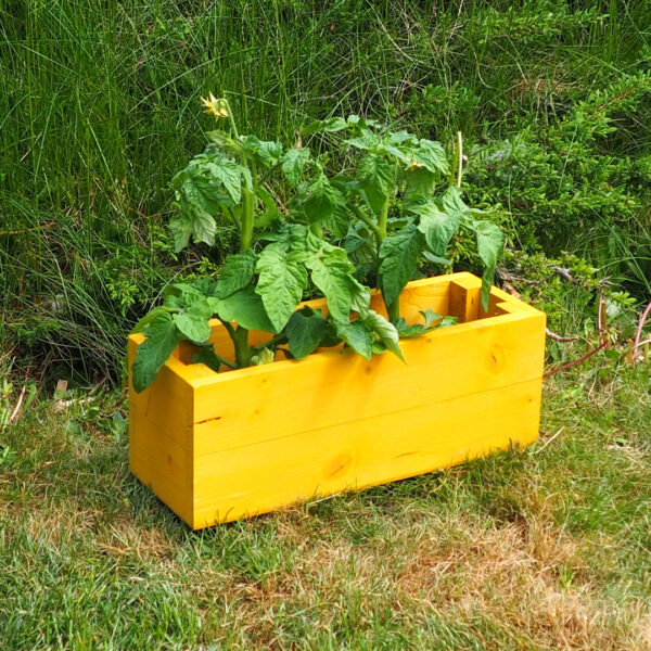 Dřevěný truhlík ohne hořčice 2