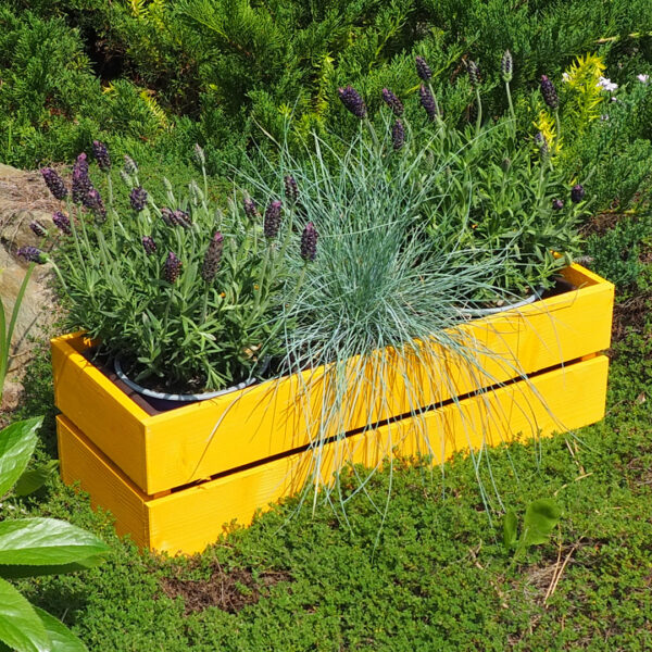 Dřevěný truhlík sukulent hořčice 5