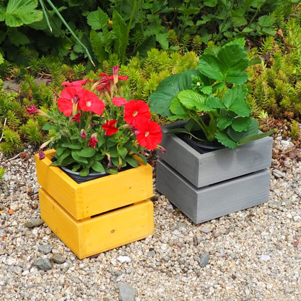 Dřevěný truhlík sukulent hořčice 6