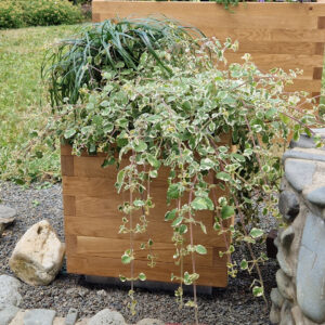 Květináč kvadrant dub 2