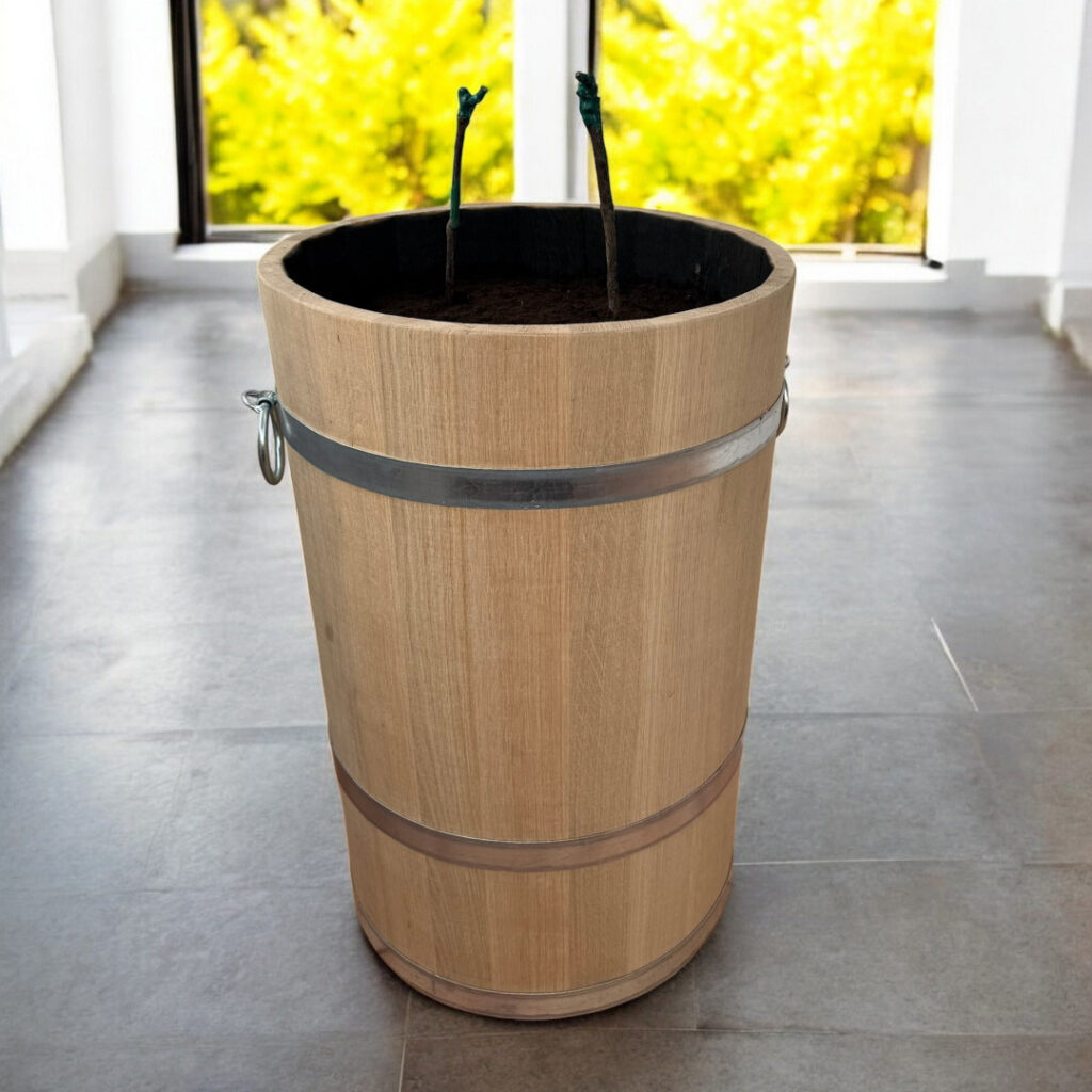 Květináč vĚdro palm special 1