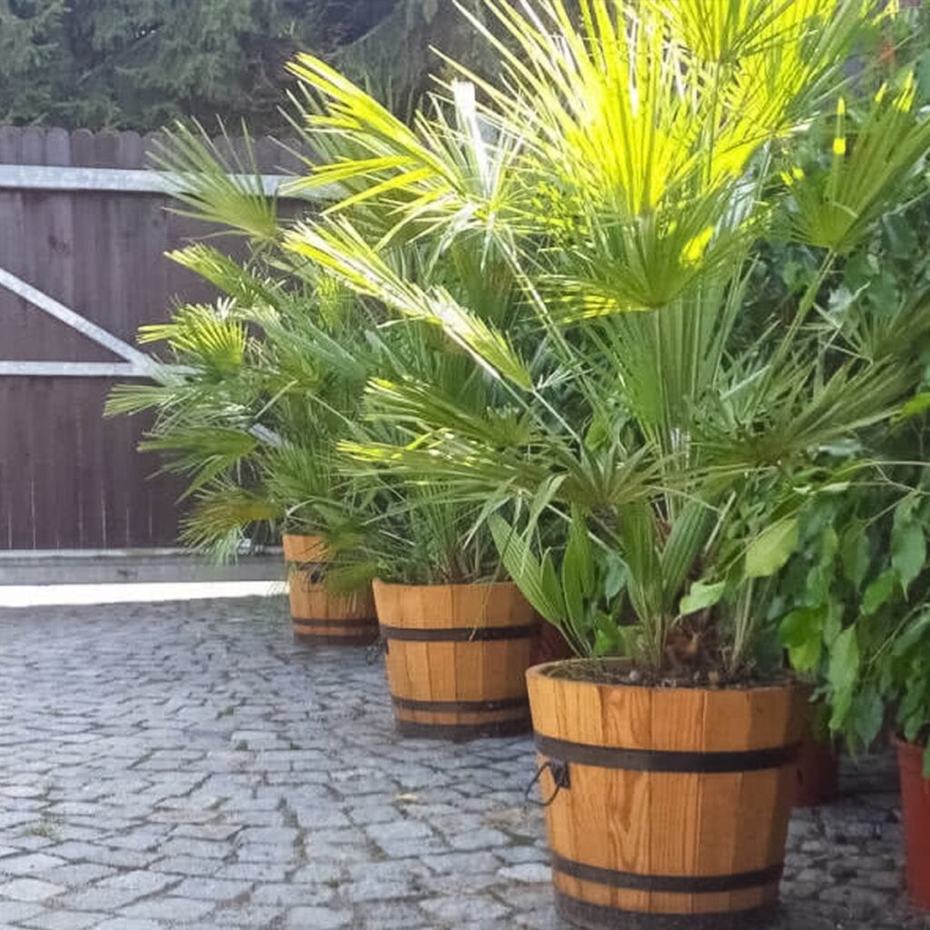 Květináč vĚdro s provazem 2