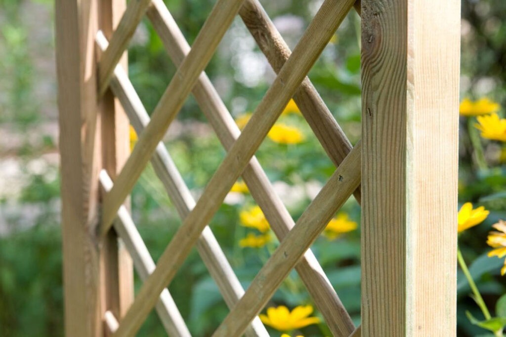 Main glaery pictogram da 0001 asceza2 1030x687