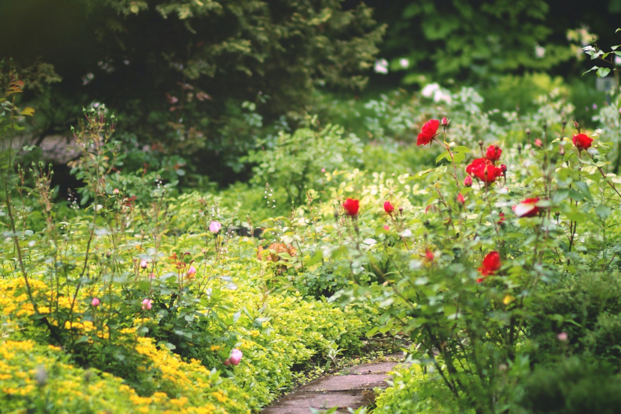 Morgane le breton rqir5yfiagc unsplash