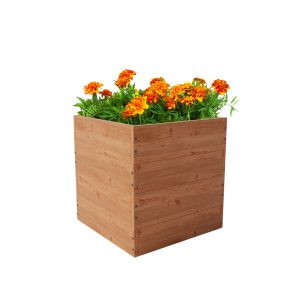 CLASSIC KVADRANT B 2