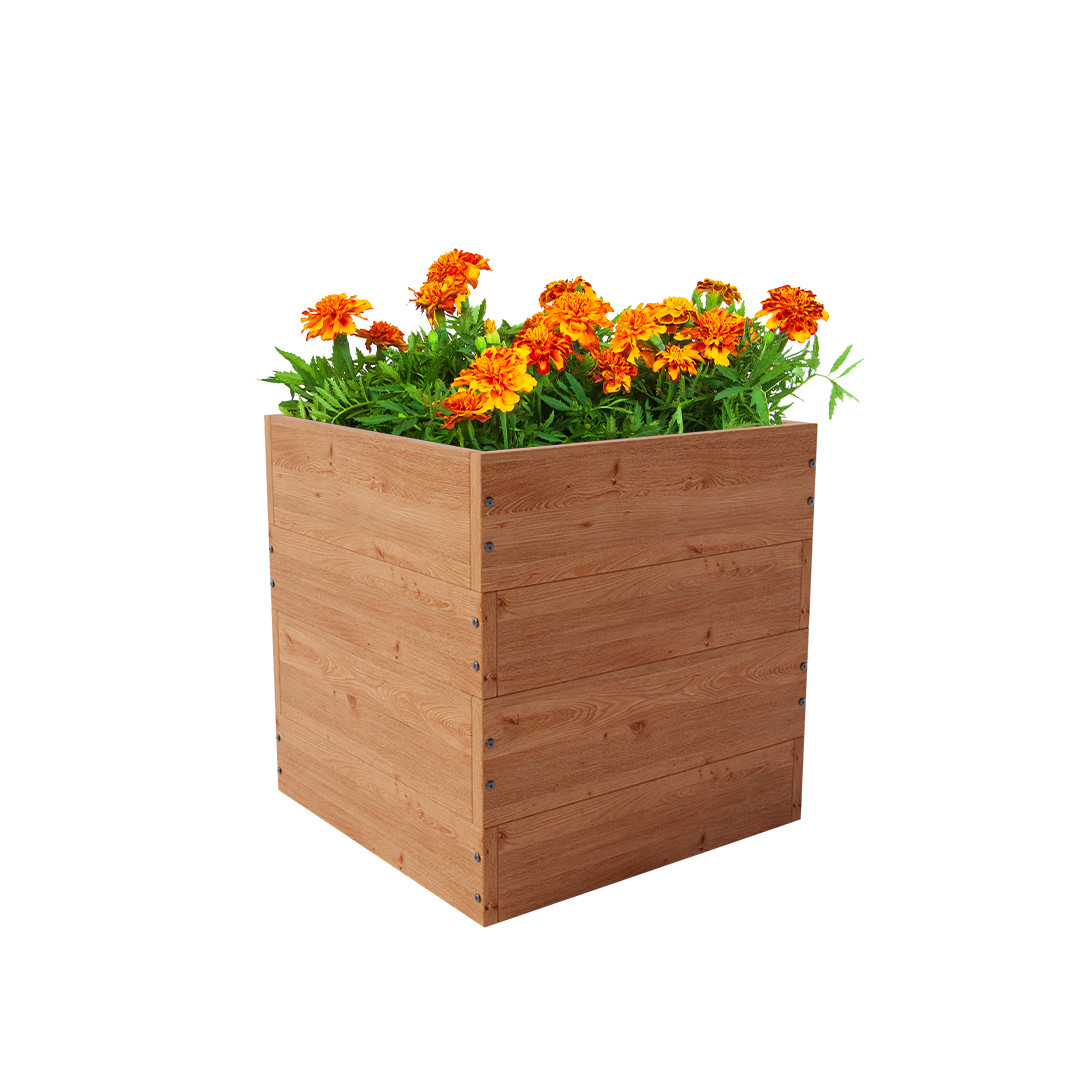 CLASSIC KVADRANT B 2