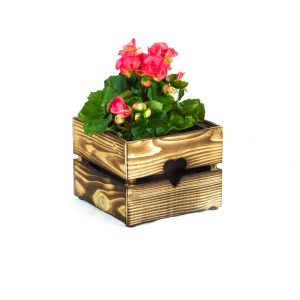 Dřevěný květináč MINI SRDCE – teak – VÝPRODEJ