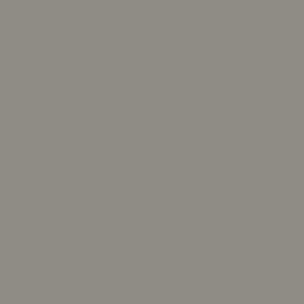 Standardní RAL 9006