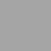 Standardní RAL 9006